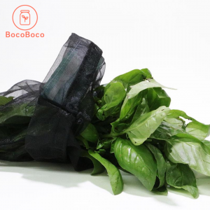 Basilic biologique du Québec ( environ 75gr)