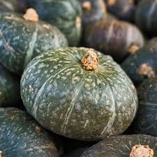 Courge Kabocha bio Québec