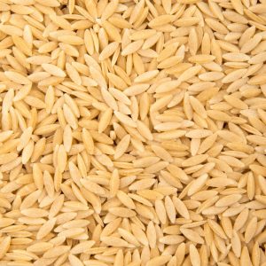 Orzo