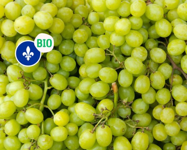 Raisins verts bio du Québec, 750ml. Vignoble du Vent Maudit