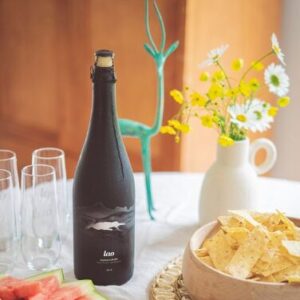 Lao Kombucha - Bulles de thé / Gyuokuru Okabe