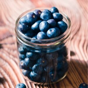 Bleuets congelés biologiques du Québec - ferme James Primus (bocal 250 ml)