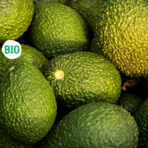 Avocat biologique, Mexique
