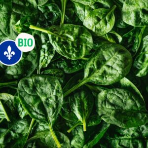 Épinards biologiques du Québec, Ferme Agricola, (140 gr)