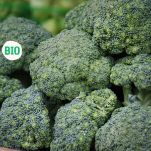 Brocoli biologique