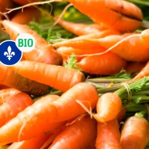 Carottes biologiques du Québec ***Légèrement cassées*** (600gr), Ferme Symbiosis