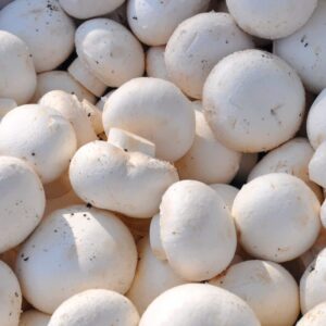 Champignons blancs ou café, biologique, Ontario (225g)