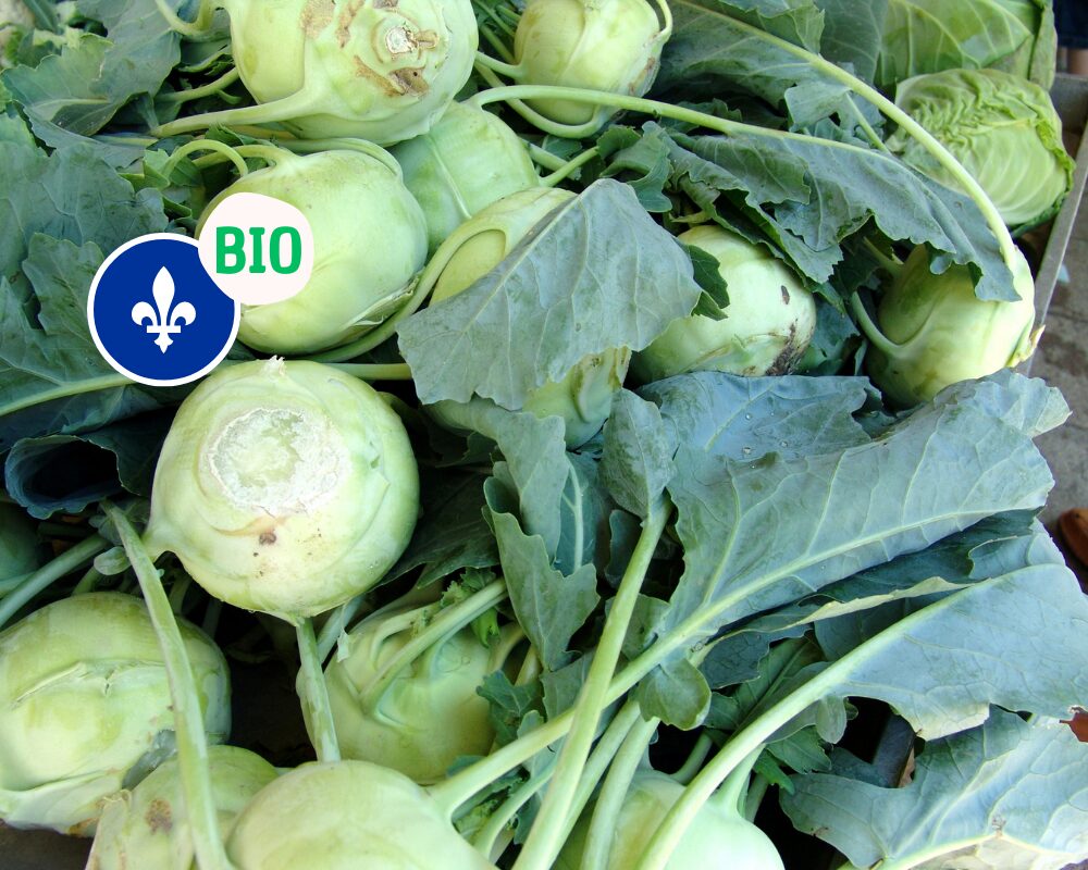 Chou rave rouge biologique du Québec, Ferme aux Colibris