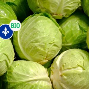 Chou vert biologique du Québec, Pur Délys