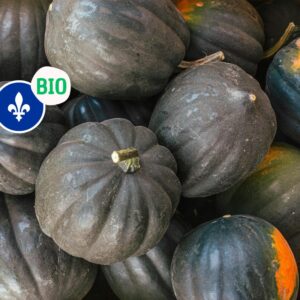Courge poivrée biologique, Québec, petite-moyenne