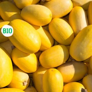 Courge spaguetti biologique (environ 2 Lb) , Mexique