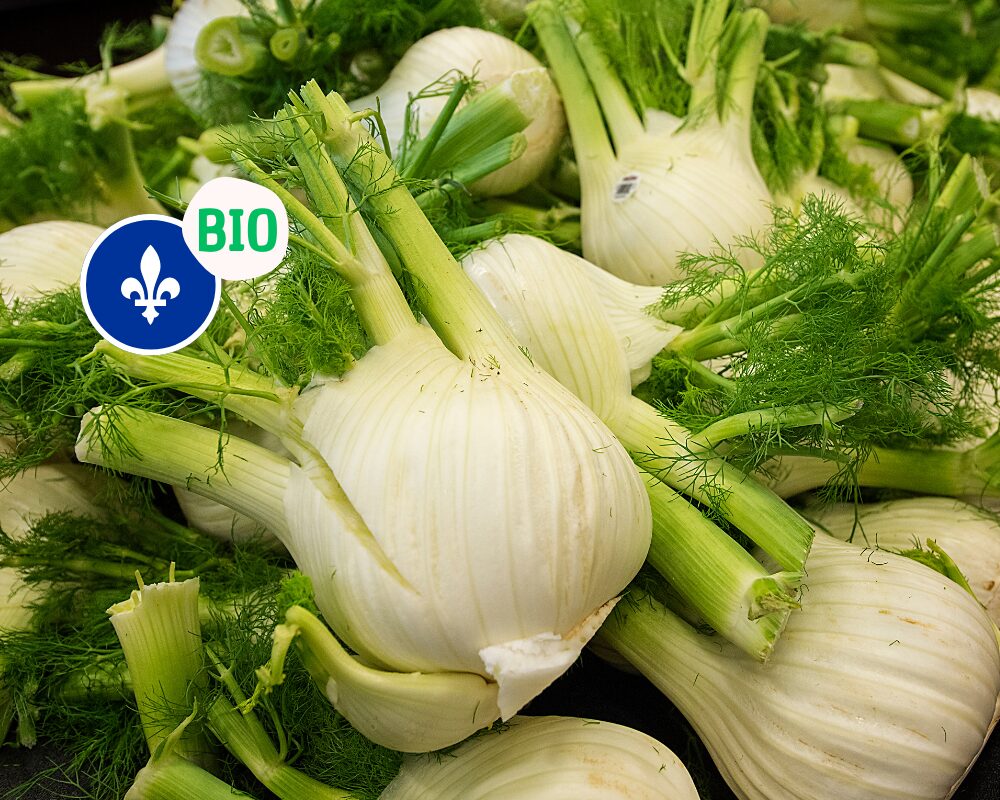 Fenouil biologique du Québec, moyen, Ferme aux pleines saveurs