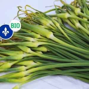 Fleur d'ail bio du Québec, Ferme Charejo (250 gr)