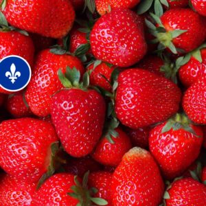 Fraises du Québec (1L), Vergers Pierre Tremblay Et Fils