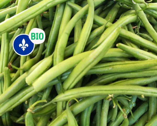 Haricots vert bio du Québec, 275gr, Ferme Agricola