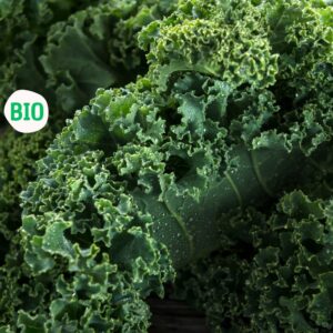 Kale biologique, (1 bouquet)