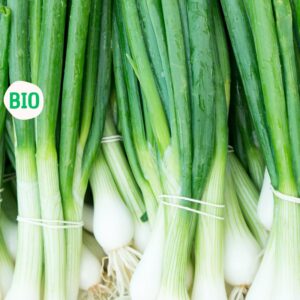 Oignons verts (cebette ou échalotte) biologique, Mexique