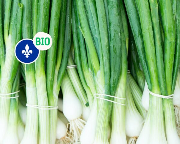 Oignons verts (cebette ou échalotte) biologique du Québec, Ferme Aux Pleines Saveurs