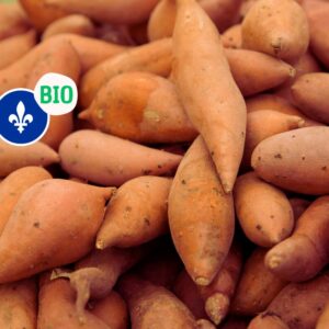 Patates douces bio, 1 ou 2 (environ 600g)