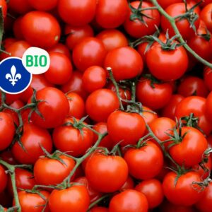 Tomates cerises biologiques du Québec, Serres Savoura, 150 g