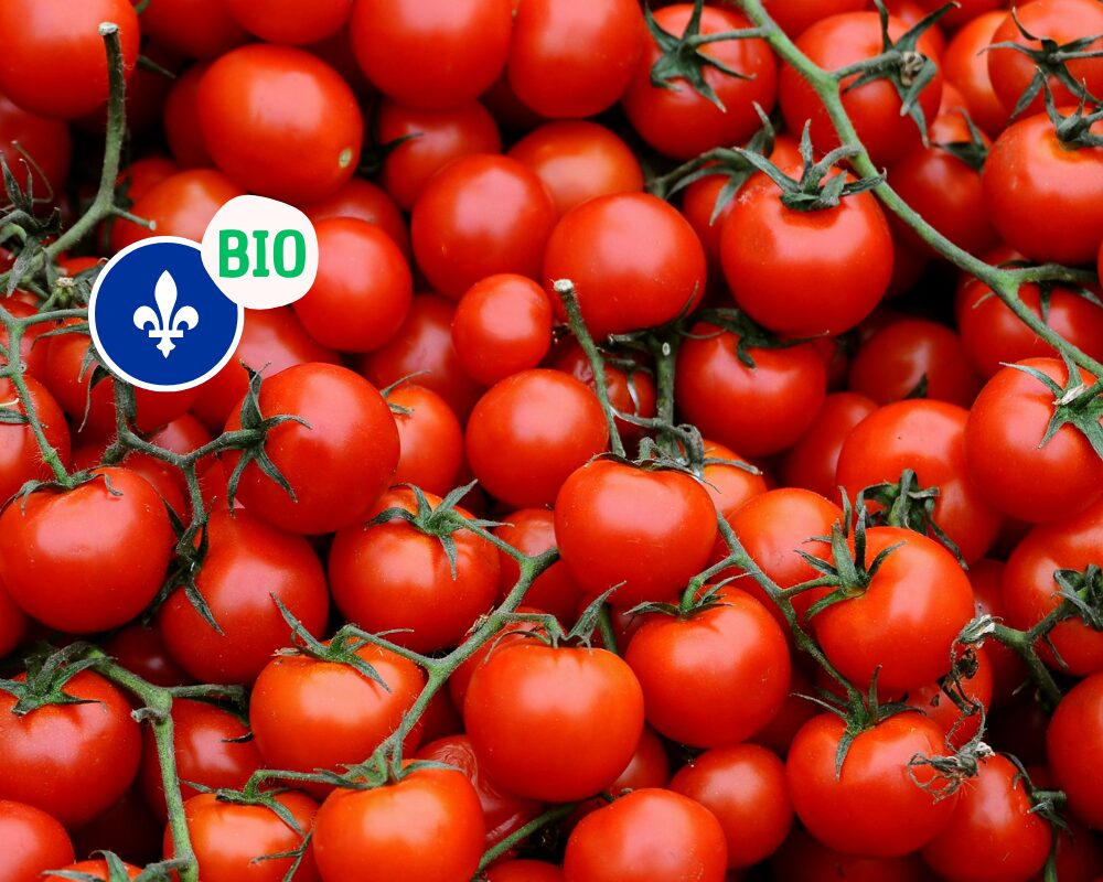 Tomates cerises biologiques du Québec, Serres Savoura, 150 g