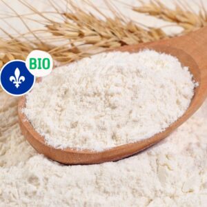 Farine de seigle bio