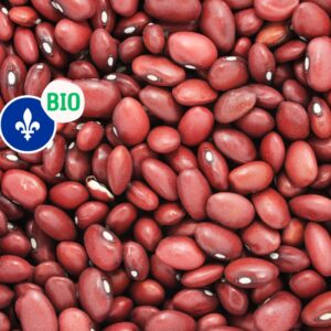 Haricots rouges biologiques