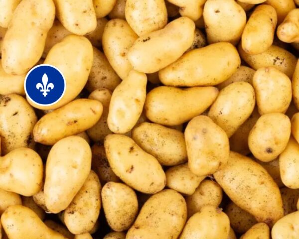 Patates Russet du Québec (environ 1kg), Jardins Dolbec
