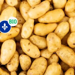 Patates Blanches bio du Québec (environ 1kg), Ferme Symbiosis