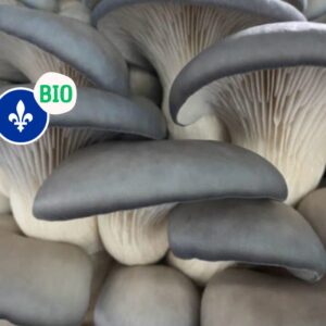 Pleurotes bleues Bio (145gr) -Champimignons