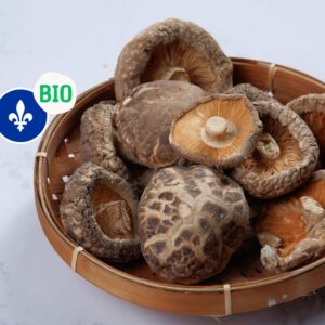 Shitakes frais biologiques (150g)