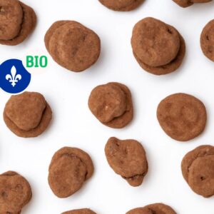 Bananes lyophilisées au chocolat noir - biologique/équitable