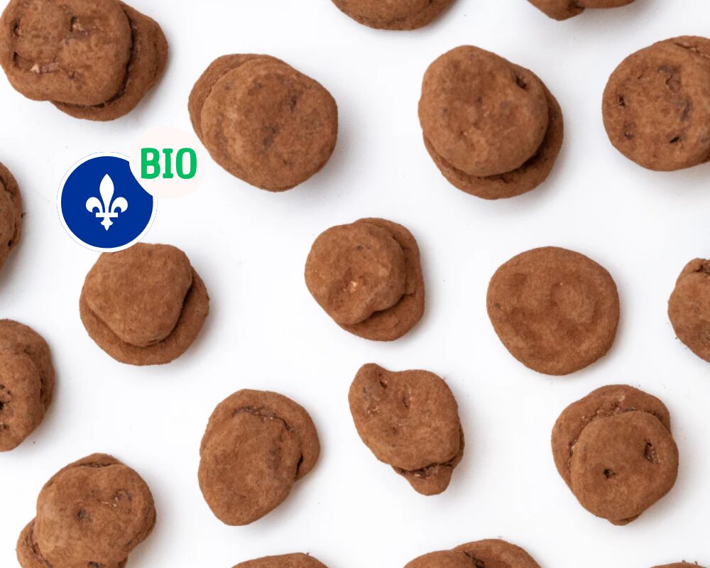 Bananes lyophilisées au chocolat noir - biologique/équitable