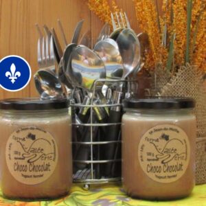 Yogourt au chocolat - 3,8% M.G. (500 ml)